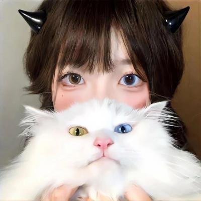黑蜥蜴2019